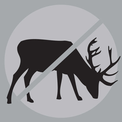 Deer Resistant
