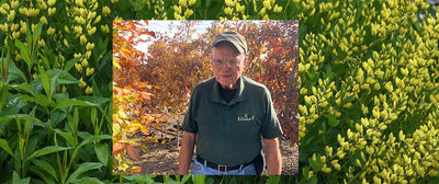 Greg's Nitrogen-Fixing Native Plants