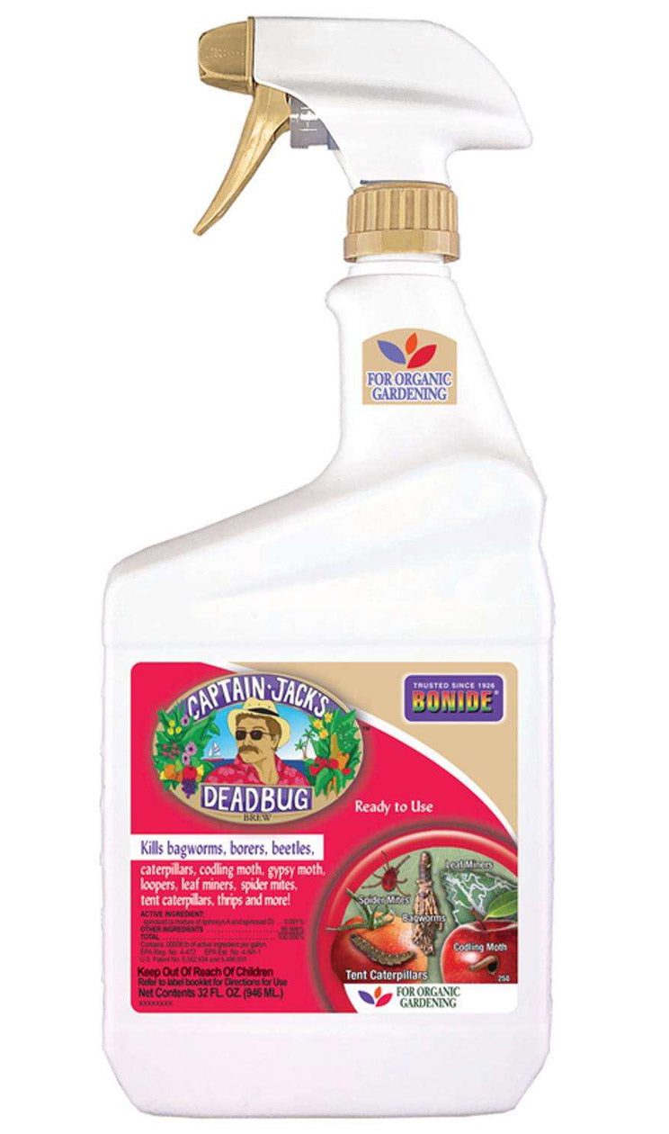 BON DEAD BUG  BREW - RTU QT.