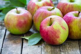 Fruit-Apple-Gravenstein semi-dwf  
