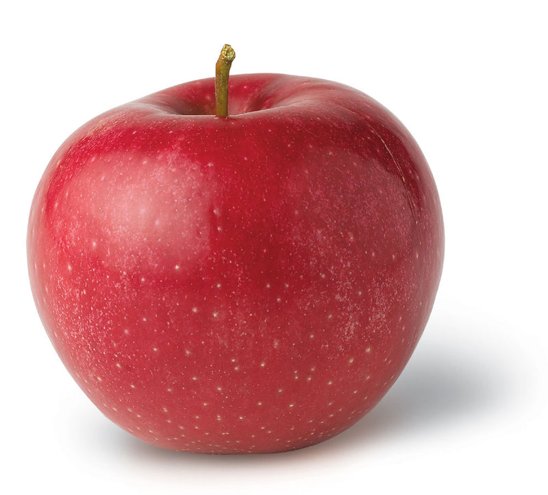 Fruit-Apple-Red Rome Semi-dwf  