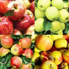 Fruit-Apple-4-n-1 combo 