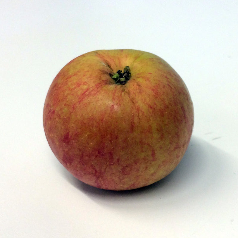 Fruit-Apple-Wealthy semidwarf 