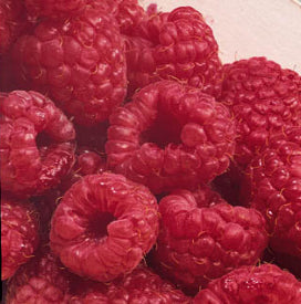 Fruit-Raspberry-Latham 