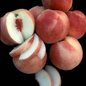 Fruit-Peach-White Lady Dwf 