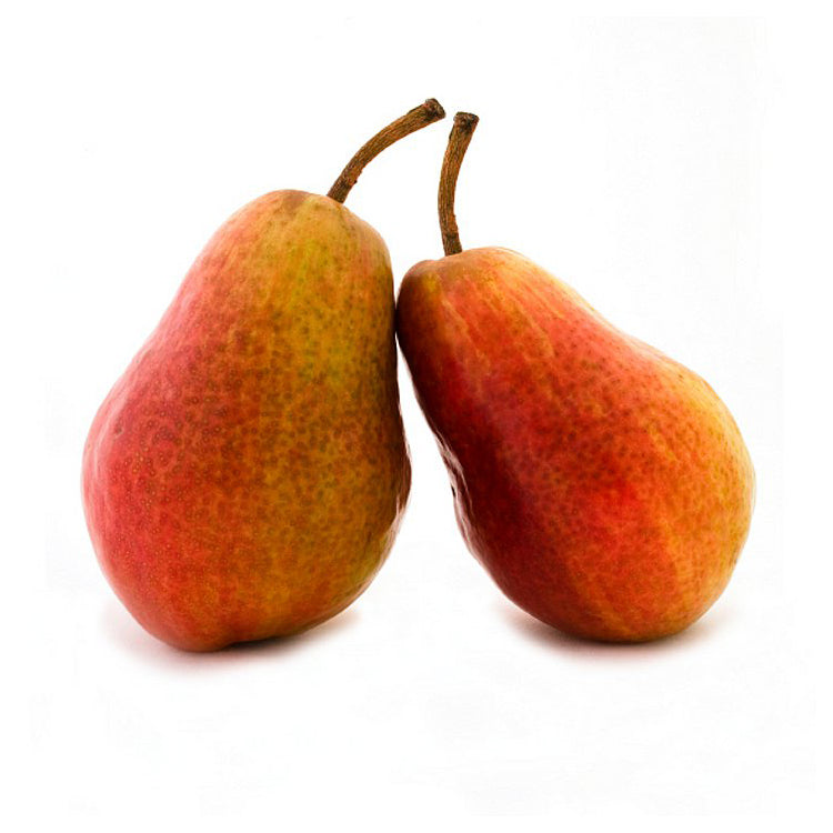 Fruit-Pear-Red Bartlett dwf 